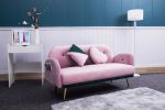 [New+Video]2156 sofa includes 2 pillows 58" pink velvet sofa for small spaces